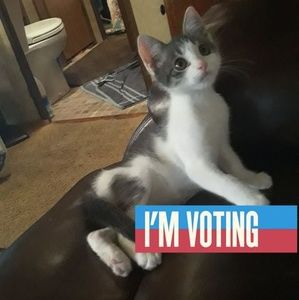 Meet your Posher, Constance